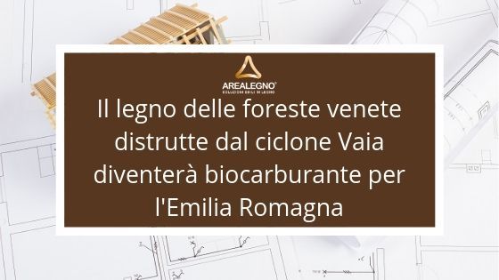 Il legno delle foreste venete distrutte dal ciclone Vaia diventerà biocarburante per l'Emilia Romagna